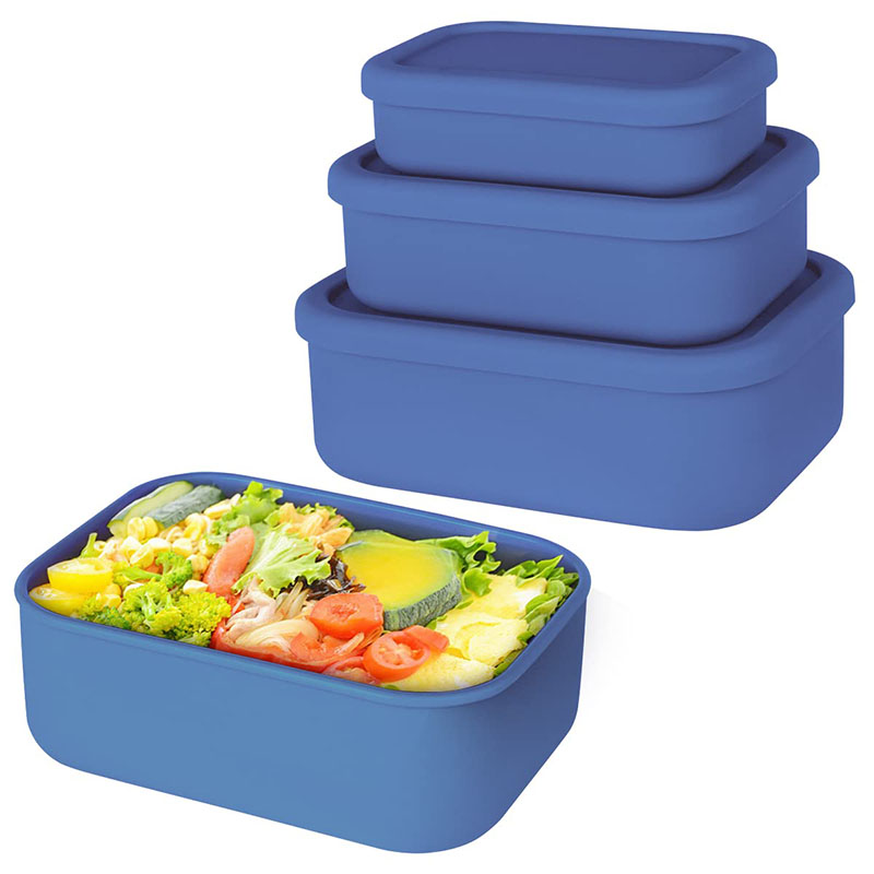 Leak-Resistant Bento Lunch Box - огляд і ціна Meal Prep Recipes