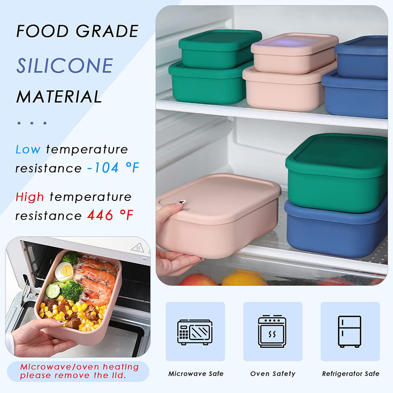 Leak-Resistant Bento Lunch Box - огляд і ціна Meal Prep Recipes